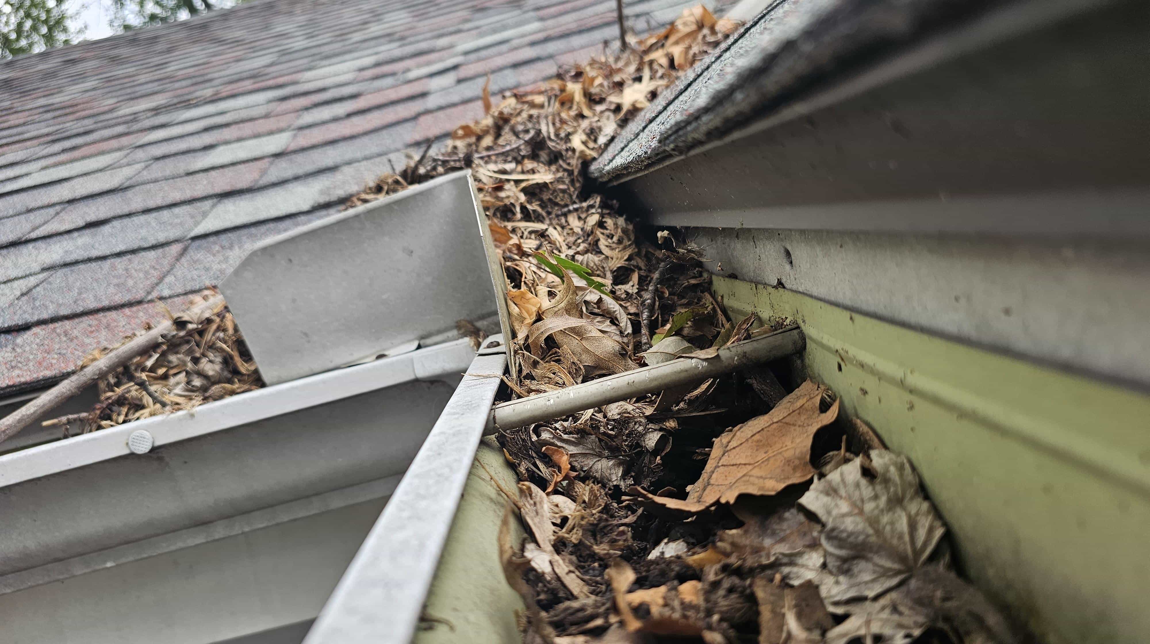 Clogged gutters with leaves in Edmonton residential home